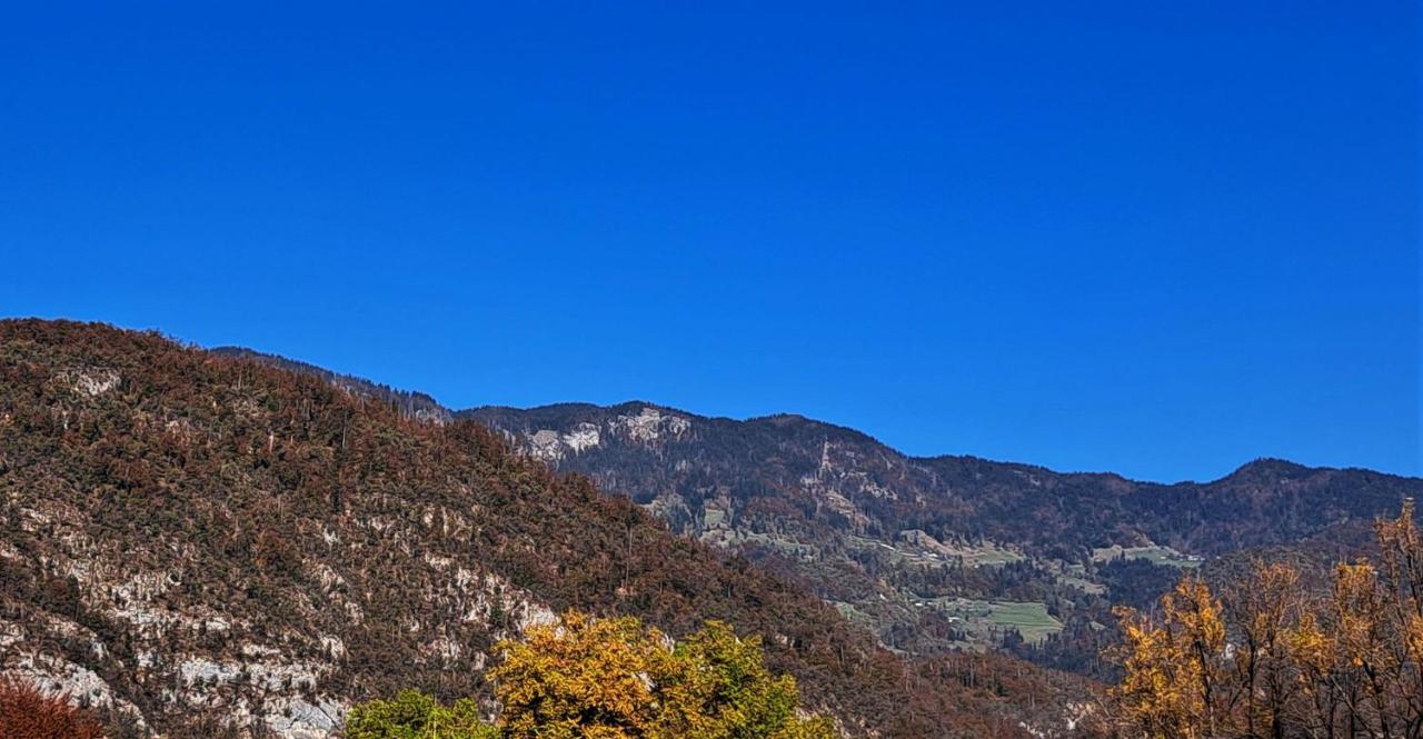 Apartmaji Alpski Cvet - Hisa Gorenc Bohinj Exterior foto